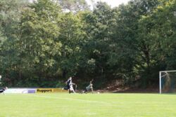 k-IMG_3411.JPG