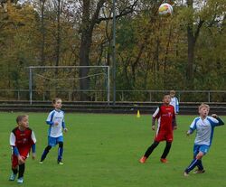 k-IMG_4317.JPG