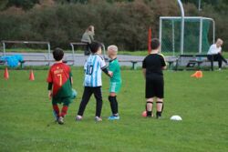 k-IMG_4923.JPG