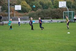 k-IMG_4928.JPG
