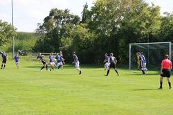 k-IMG_6663.JPG