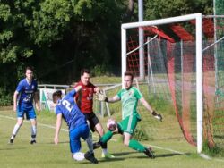 k-IMG_8475.JPG