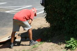 k-IMG_9322.JPG