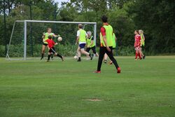 k-IMG_1389.JPG