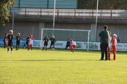 k-IMG_3489.JPG