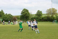 k-IMG_8013_0001.JPG
