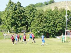 k-IMG_8414.JPG