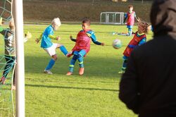 k-IMG_8312.JPG