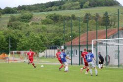 k-IMG_8766.JPG