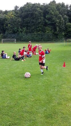 k-20170822_155308_-_Kopie.jpg