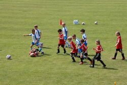 k-IMG_1419.JPG