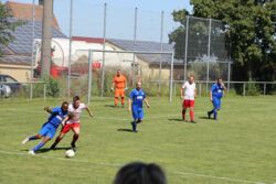 k-IMG_1447.JPG