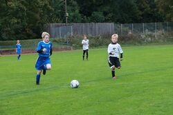 k-IMG_2631.JPG