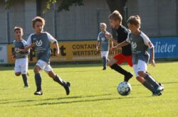 k-IMG_3463.JPG
