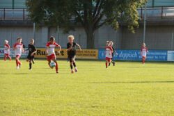 k-IMG_3483.JPG