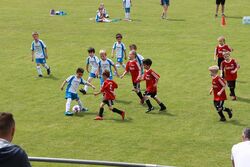 k-IMG_1524.JPG