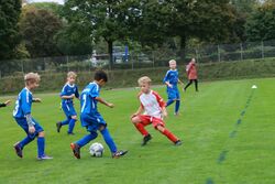 k-IMG_2515.JPG