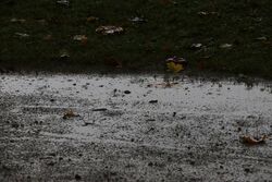 k-IMG_2871.JPG