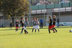 k-IMG_3461.JPG