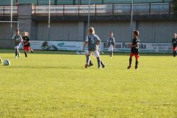 k-IMG_3474.JPG