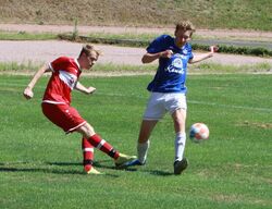 k-IMG_3520.JPG