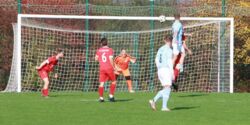 k-IMG_5221.JPG