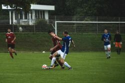 k-IMG_5251.JPEG