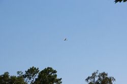 k-IMG_5575.JPG