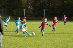 k-IMG_8303.JPG