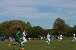 k-IMG_9181.JPG