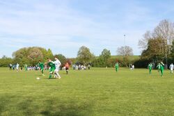 k-IMG_9203.JPG