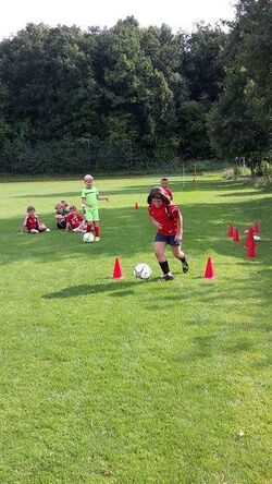 k-20170822_161100_-_Kopie.jpg