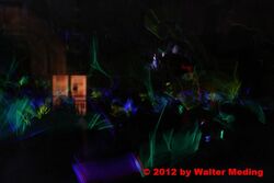 k-IMG_0248_0001.JPG