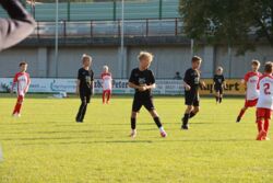 k-IMG_3485.JPG