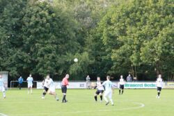 k-IMG_3973.JPG