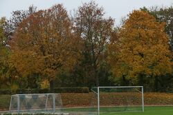 k-IMG_4153.JPG