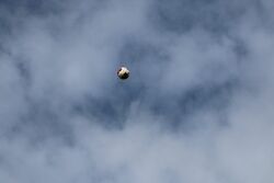 k-IMG_5839.JPG