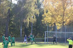 k-IMG_8619.JPG