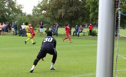 k-IMG_9250-crop.JPG
