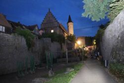 k-IMG_1056.JPG