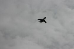 k-IMG_1480.JPG