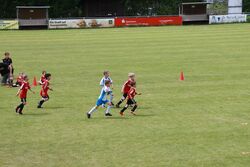 k-IMG_1519.JPG
