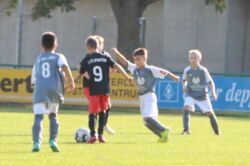 k-IMG_3445.JPG