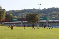 k-IMG_3446.JPG
