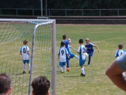 k-IMG_8963.JPG