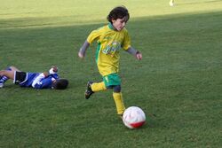 k-Finalordner1_(15).JPG