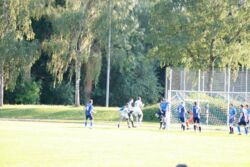 k-IMG_0351.JPG