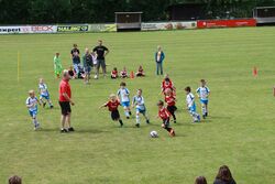 k-IMG_1463.JPG
