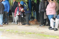 k-IMG_2888.JPG