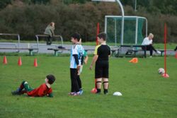 k-IMG_4924.JPG
